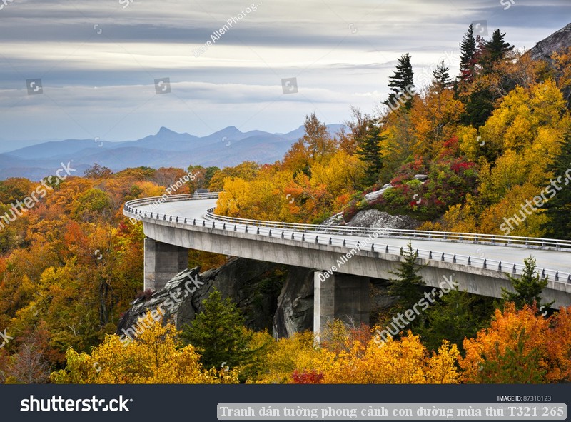 Tranh dán tường phong cảnh con đường mùa thu T321-265